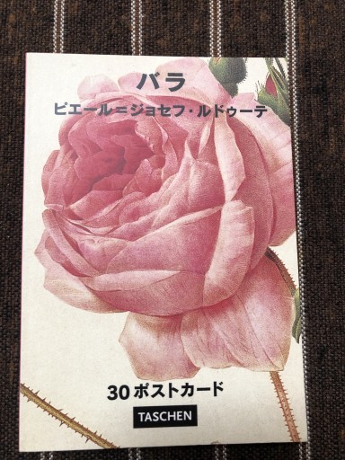 バラ: 30ポストカード（タッシェン・ポストカードシリーズ） - 岸リューリSOLIDA書店