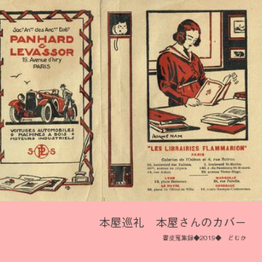 本屋巡礼・本屋さんのカバー～書皮蒐集録2019 - どむか