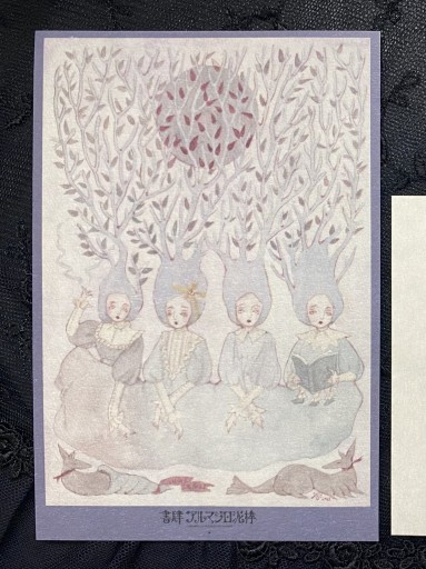 羊皮紙風ポストカード（フニェルリリンカ） - 書肆アルマジロ泥棒