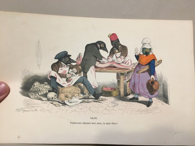【手付彩色】1860年代J.Jグランヴィル 「当世風変身物語」風刺画  火災保険 - フネートル・KY
