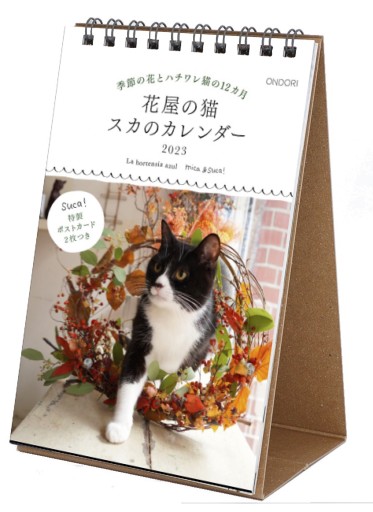 花屋の猫スカのカレンダー2023 - ONDORI  BOOKS