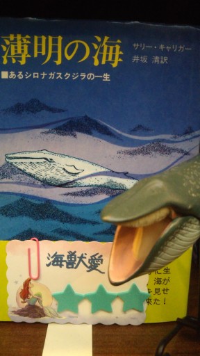 薄明の海―あるシロナガスクジラの一生（1977年） - 海獣書店
