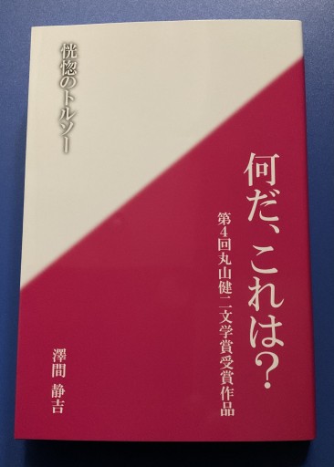 丸山健二文学賞第4回受賞作品「恍惚のトルソー」澤間静吉 - さりはま書房