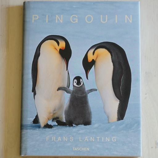 Pingouin （ペンギン） - 人鳥書店