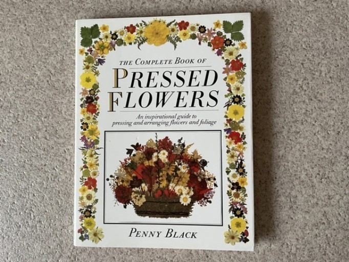 PRESSED FLOWERS - Pearl Gray Time