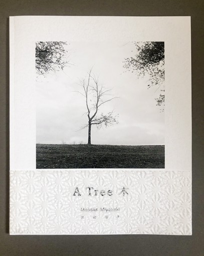 宮崎雅子 A Tree (和紙の帯つき） - 長岡白和と細川文昌の本棚
