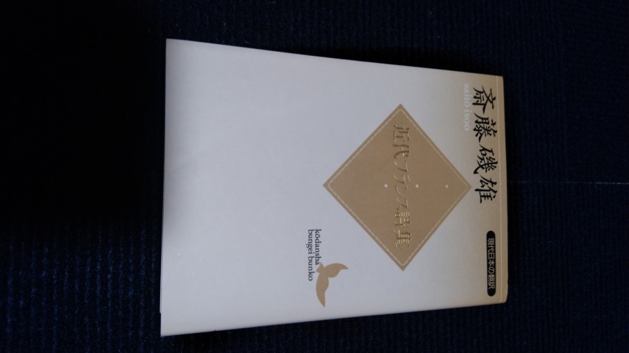 近代フランス詩集―現代日本の翻訳（講談社文芸文庫） - とみきち屋