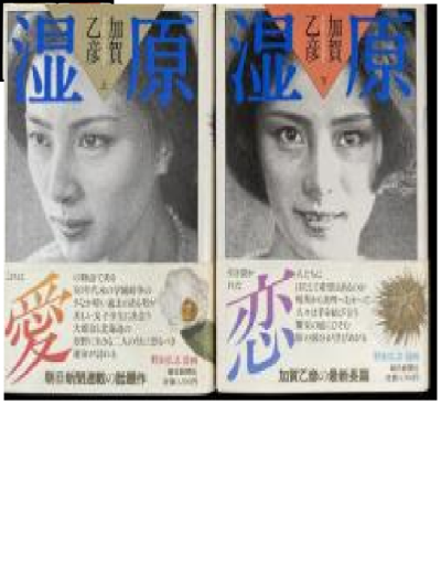 湿原 上下セット - Big-books