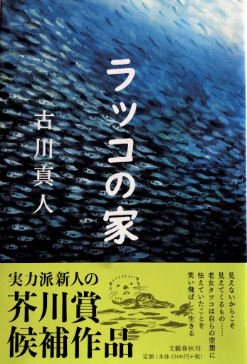 ラッコの家 - 旗原理沙子の家