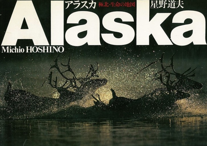 アラスカ―極北・生命の地図 - 安野モヨコと百葉子の棚