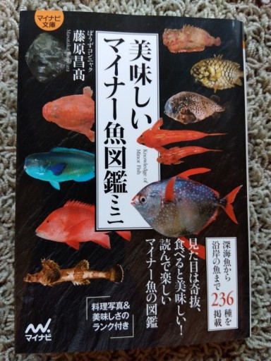 【マイナビ文庫】美味しいマイナー魚図鑑ミニ - 旅するサカナ