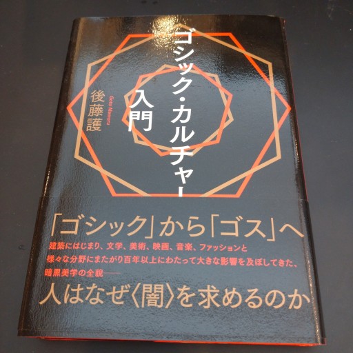 ゴシック・カルチャー入門（ele-king books） - 高山 宏の本棚