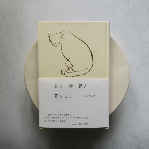 もう一度 猫と暮らしたい - あしもとのねこbooks