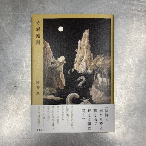 『奇病庭園』川野芽生／サイン入り - 中川多理 Favorite Journal