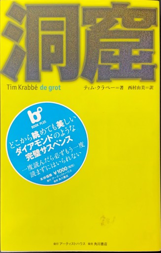 洞窟（BOOK PLUS） - 豊崎 由美の本棚