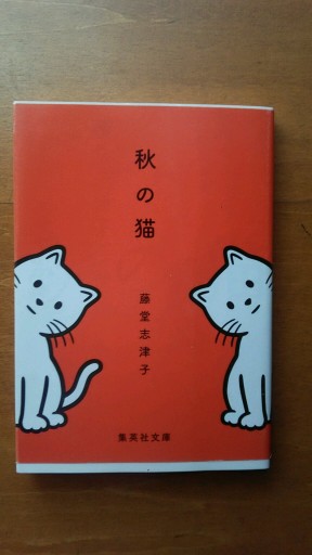 秋の猫 - ギャラリーえん 66books