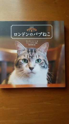 ロンドンのパブねこ - ギャラリーえん 66books