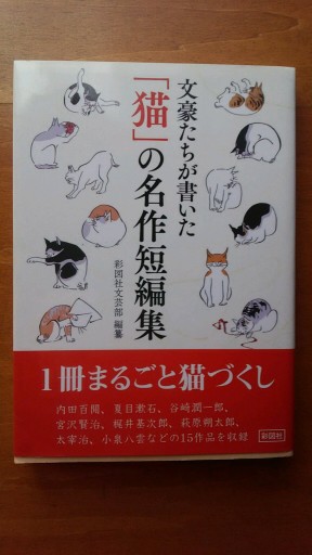 文豪たちが書いた「猫」の名作短編集 - ギャラリーえん 66books