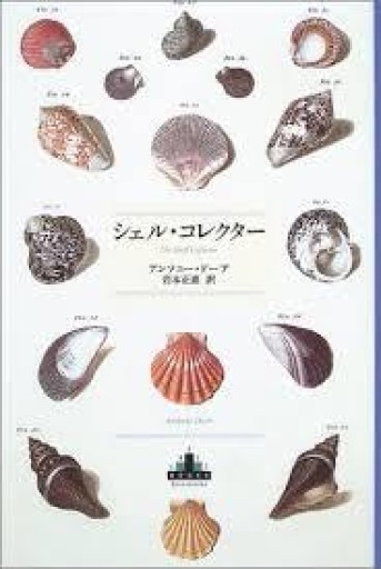 シェル・コレクタ-（Shinchosha CREST BOOKS） - 緑陰カフェSOLIDA