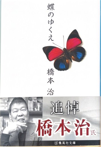 蝶のゆくえ（集英社文庫） - 千木良悠子の本棚