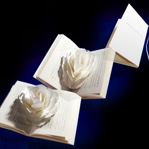紙の花のしおり ポップアップペーパーブックマーク〈ローズ〉 - PAPER & ARTS
