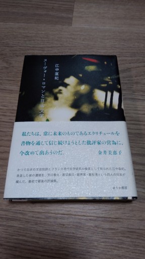 ヌーヴォー・ロマンと日本文学 - とみきち屋