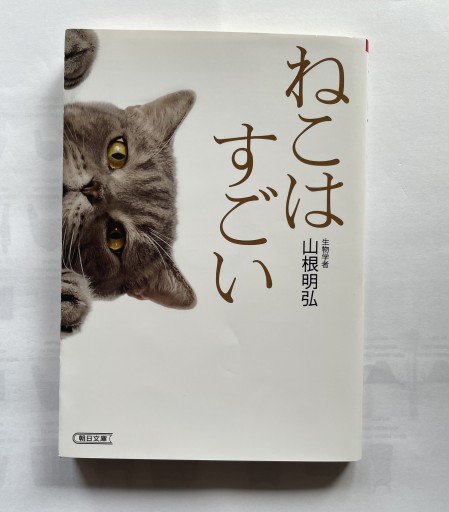 ねこはすごい - 司書ねこ選 REN's  BOOK SHOP