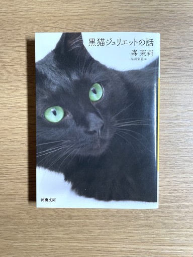 黒猫ジュリエットの話 - 司書ねこ選 REN's  BOOK SHOP