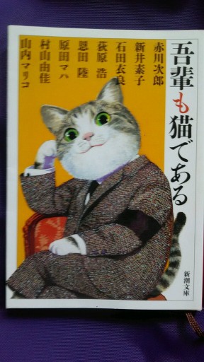 吾輩も猫である - ギャラリーえん 66books