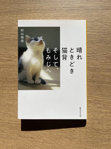 晴れ ときどき 猫背 そして、もみじへ - 司書ねこ選 REN's  BOOK SHOP