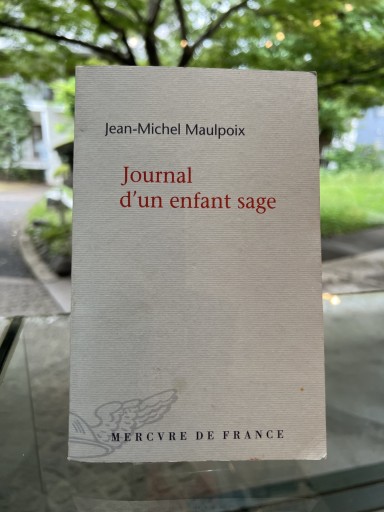 Journal d'un enfant sage - 澤田直の本棚（RIVE GAUCHE店）