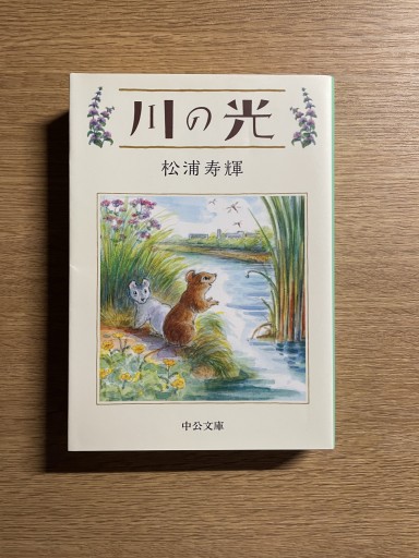 川の光 - 司書ねこ選 REN's  BOOK SHOP