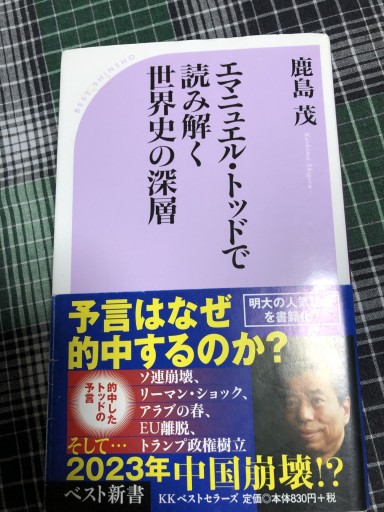 エマニュエル・トッドで読み解く世界史の深層（ベスト新書） - 岸リューリSOLIDA書店