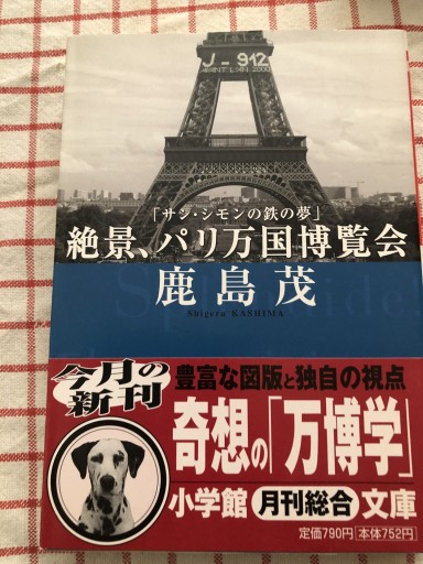 絶景、パリ万国博覧会: サン・シモンの鉄の夢（小学館文庫 R か- 10-2） - 岸リューリ