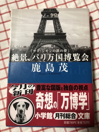 絶景、パリ万国博覧会: サン・シモンの鉄の夢（小学館文庫 R か- 10-2） - 岸リューリSOLIDA書店