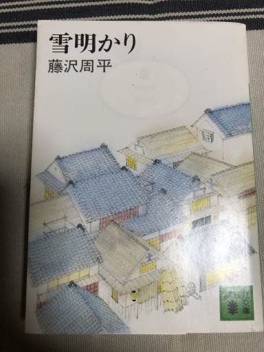 雪明かり（講談社文庫 ふ 2-1） - 鹿島茂SOLIDA書店