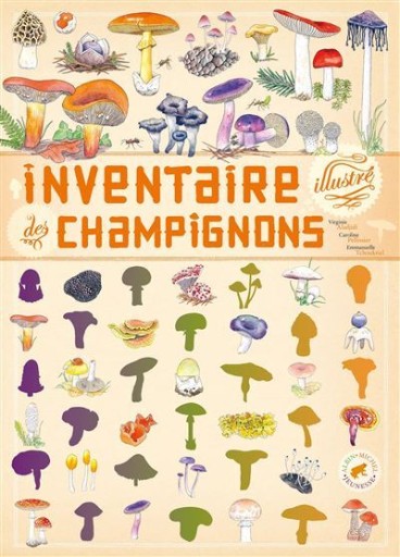 Inventaire illustré des champignons - Citron et Petit Loup       シトロン・プチルー