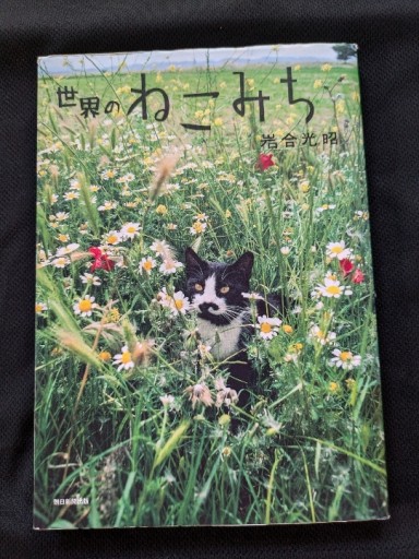 世界のねこみち - ギャラリーえん 66books