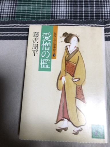 愛憎の檻（講談社文庫 ふ 2-5 獄医立花登手控え 3） - 鹿島茂SOLIDA書店