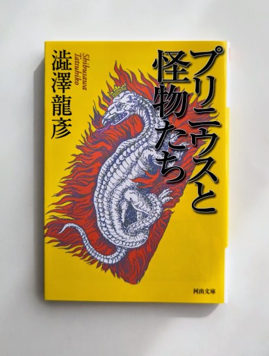 プリニウスと怪物たち（河出文庫 し 1-67） - 海を越えるツバメ