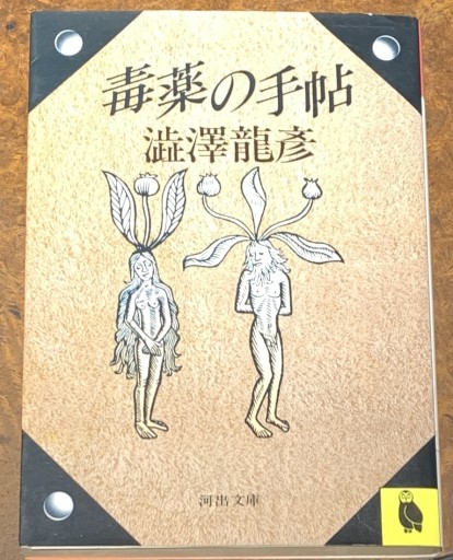 毒薬の手帖（河出文庫 し 1-6 澁澤龍彦コレクション） - tsundoku