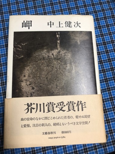 岬 - 岸リューリSOLIDA書店