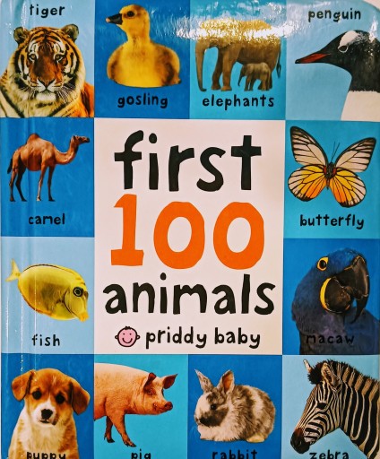 First 100 Animals（First 100 Soft to Touch） - 天志道書店