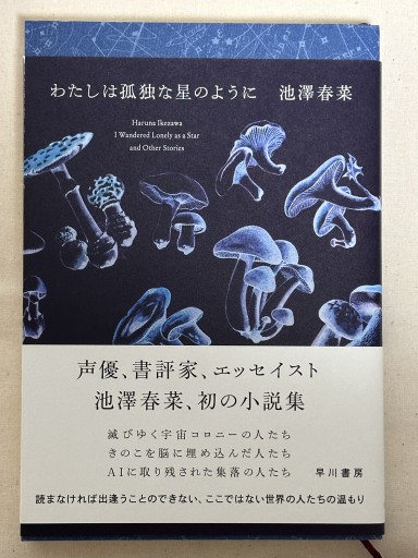 わたしは孤独な星のように - ミサキ文庫