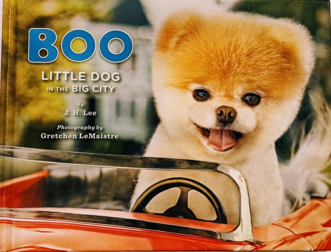 Boo: Little Dog in the Big City（Boo the Dog） - 天志道書店