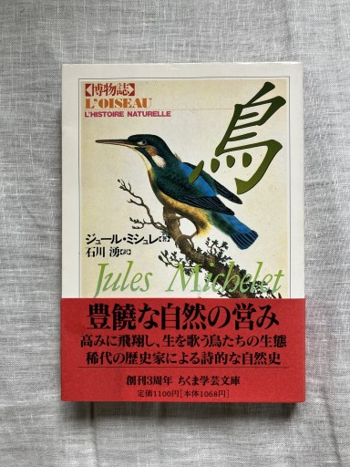 博物誌鳥（ちくま学芸文庫） - 羊葉文庫
