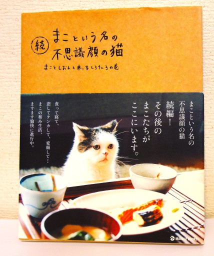 続 まこという名の不思議顔の猫 - つるばら堂