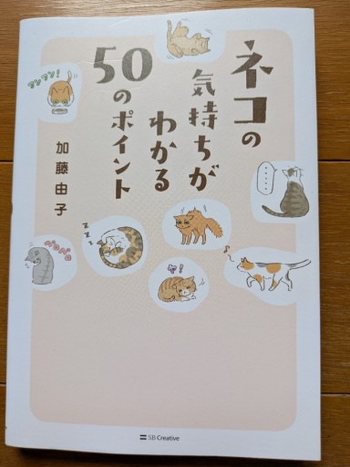 ネコの気持ちがわかる50のポイント - ギャラリーえん 66books