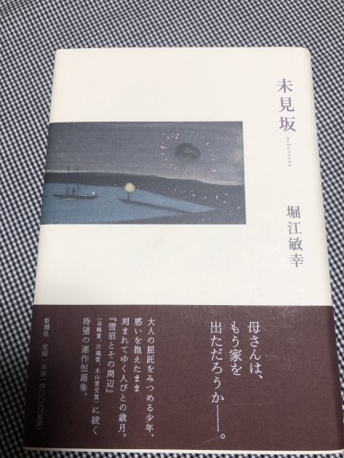 未見坂 - 岸リューリ