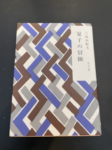 夏子の冒険（角川文庫） - かきがら書房